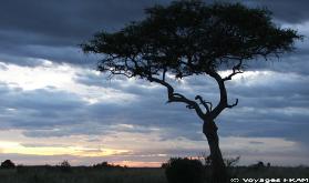 s&eacute;jour Kenya