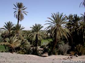 Voyage Maroc derni&egrave;re minute