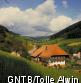For�t noire et lac de Constance