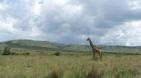 Splendeurs d'Afrique