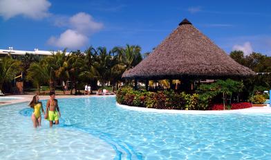 Sol Palmeras