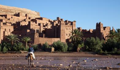 Kasbah et Oasis
