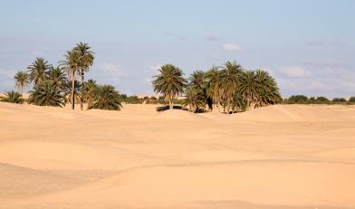 Grand Tour de Tunisie  au départ de Djerba