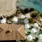 Barcelo Ponent Playa