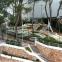 Complexe Skorpios and Corfu