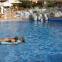 Jardin Caleta