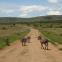Splendeurs d'Afrique