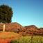 Paysages Malgaches