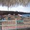 Paradise Bay