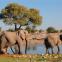 Paysages namibiens