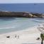 Delphin Ribat