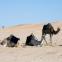Grand Tour de Tunisie  au départ de Djerba