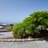 Aguamarina Golf