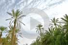 Framissima Golf Beach, hotel club voyage &agrave; Djerba