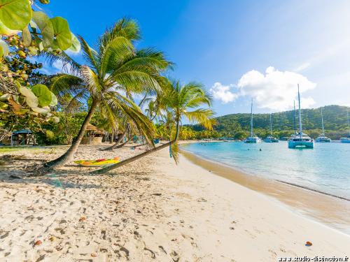 Croisière A la découverte des Grenadines ***** - 14