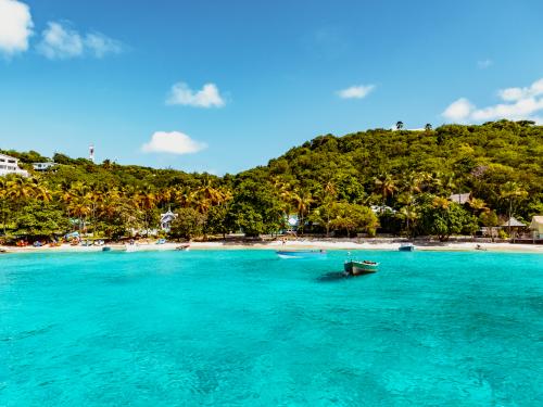 Croisière A la découverte des Grenadines ***** - 16